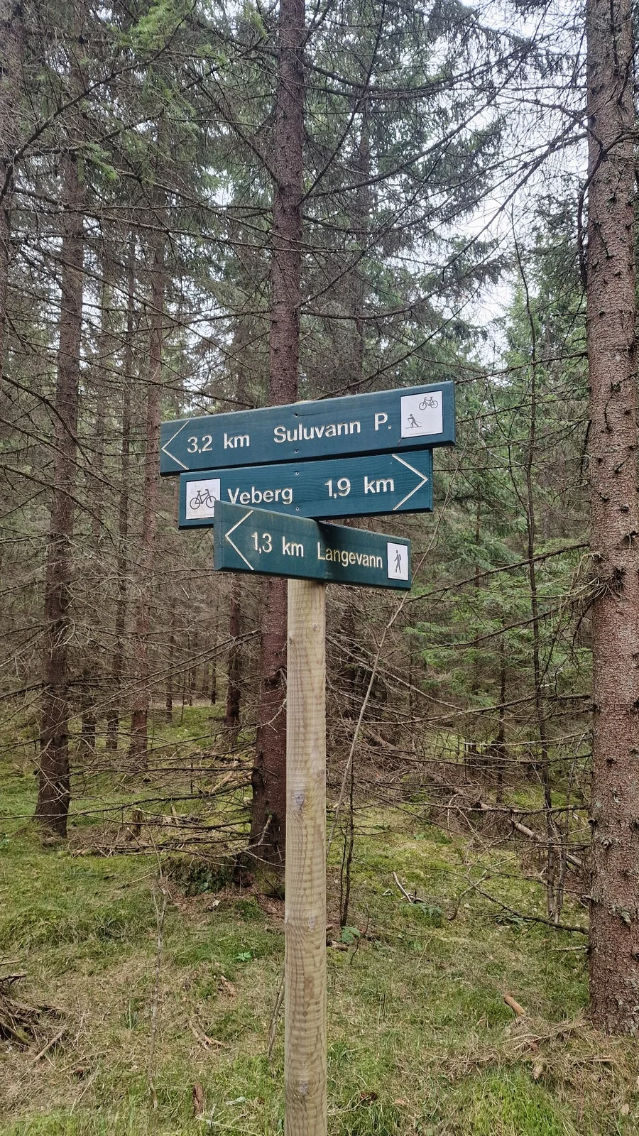 Skilt som viser vei til turstier i skogen nær Bjørndalåsen.